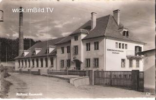 Neumarkt in Steiermark - Steiermark - alte historische Fotos Ansichten Bilder Aufnahmen Ansichtskarten 