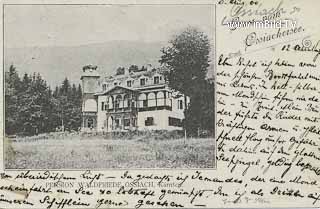 Pension Waldfriede - alte historische Fotos Ansichten Bilder Aufnahmen Ansichtskarten 