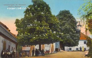 Unterbergen Gasthaus Schönlieb - Unterbergen - alte historische Fotos Ansichten Bilder Aufnahmen Ansichtskarten 