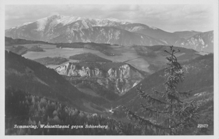 Weinzettlwand gegen Schneeberg - alte historische Fotos Ansichten Bilder Aufnahmen Ansichtskarten 