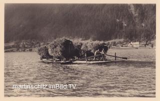 Techendorf, Heutransport am Weissensee - Kärnten - alte historische Fotos Ansichten Bilder Aufnahmen Ansichtskarten 