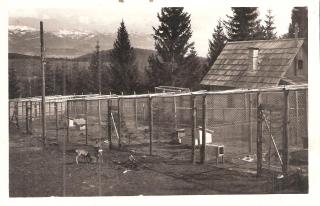 Zeutschach bei Neumarkt in Steiermark - Oesterreich - alte historische Fotos Ansichten Bilder Aufnahmen Ansichtskarten 