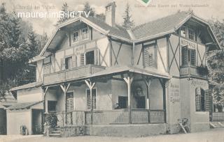 Mittewald - Restauration - alte historische Fotos Ansichten Bilder Aufnahmen Ansichtskarten 