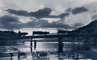 Viehtrieb über die Brücke  - Oesterreich - alte historische Fotos Ansichten Bilder Aufnahmen Ansichtskarten 