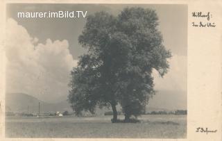 Villach - Auen - Oesterreich - alte historische Fotos Ansichten Bilder Aufnahmen Ansichtskarten 