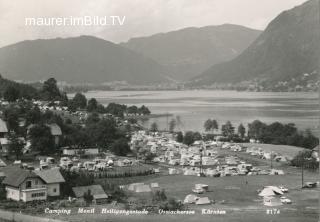 Camping Mentl in Heiligengestade - Oesterreich - alte historische Fotos Ansichten Bilder Aufnahmen Ansichtskarten 