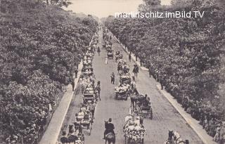 Wien Prater Haupt - Aallee - Wien  2.,Leopoldstadt - alte historische Fotos Ansichten Bilder Aufnahmen Ansichtskarten 