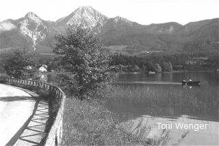 Egg am See - Oesterreich - alte historische Fotos Ansichten Bilder Aufnahmen Ansichtskarten 