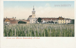 Maria Enzersdorf - Niederösterreich - alte historische Fotos Ansichten Bilder Aufnahmen Ansichtskarten 