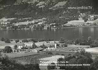 Ossiachersee - Ossiach - alte historische Fotos Ansichten Bilder Aufnahmen Ansichtskarten 