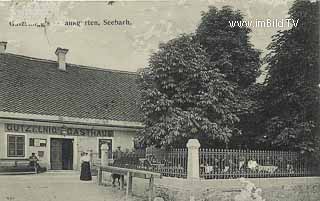 Seebach - Gasthaus Gutzelnig - Landskron - alte historische Fotos Ansichten Bilder Aufnahmen Ansichtskarten 