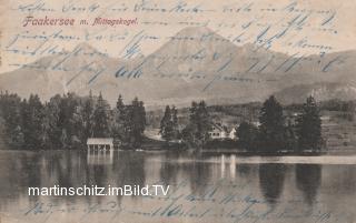 Insel Nordansicht - Oesterreich - alte historische Fotos Ansichten Bilder Aufnahmen Ansichtskarten 