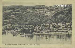 Steindorf vom See - Europa - alte historische Fotos Ansichten Bilder Aufnahmen Ansichtskarten 