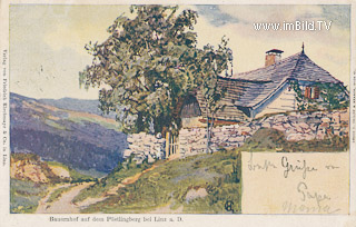 Bauernhof auf dem Pöstlingberg - Europa - alte historische Fotos Ansichten Bilder Aufnahmen Ansichtskarten 