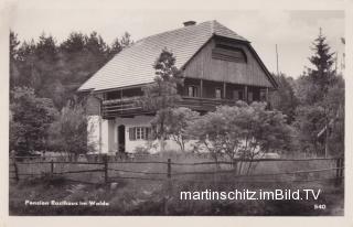 Mittewald, Rasthaus im Walde - Oesterreich - alte historische Fotos Ansichten Bilder Aufnahmen Ansichtskarten 