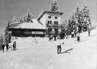 Alpenrose im Winter - Kärnten - alte historische Fotos Ansichten Bilder Aufnahmen Ansichtskarten 