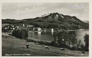 Drobbolach mit Blickrichtung Egg - Europa - alte historische Fotos Ansichten Bilder Aufnahmen Ansichtskarten 