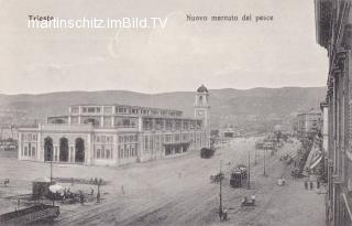 Triest, Fischmarkt - alte historische Fotos Ansichten Bilder Aufnahmen Ansichtskarten 