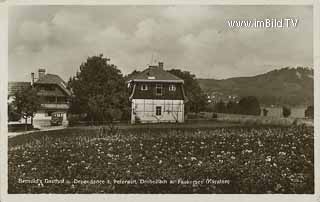 Bernolds - Drobollach am Faaker See - alte historische Fotos Ansichten Bilder Aufnahmen Ansichtskarten 