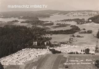 Camping Ferien am Walde - Europa - alte historische Fotos Ansichten Bilder Aufnahmen Ansichtskarten 