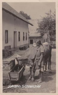 Faak am See, Bauernhof der Kunstmühle - Europa - alte historische Fotos Ansichten Bilder Aufnahmen Ansichtskarten 