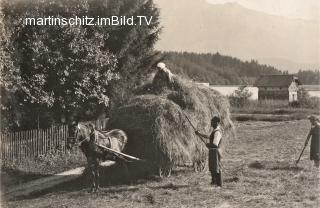 Heuernte am See - alte historische Fotos Ansichten Bilder Aufnahmen Ansichtskarten 