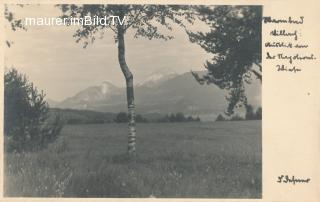 Warmbad - Napoleonwiese - Europa - alte historische Fotos Ansichten Bilder Aufnahmen Ansichtskarten 