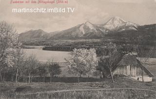 Panoramaansicht auf die Insel, - Europa - alte historische Fotos Ansichten Bilder Aufnahmen Ansichtskarten 