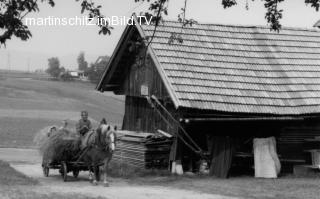 Pferdefuhrwerk bei Grünfuttereinfuhr - Europa - alte historische Fotos Ansichten Bilder Aufnahmen Ansichtskarten 