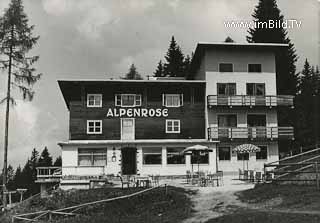 Hotel Alpenrose - Europa - alte historische Fotos Ansichten Bilder Aufnahmen Ansichtskarten 