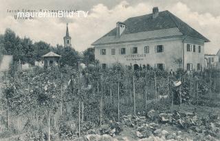 Gärtnerei Jacob Eicher - Villach - Kärnten - alte historische Fotos Ansichten Bilder Aufnahmen Ansichtskarten 