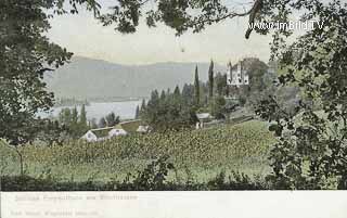 Schloss Freyenthrun - Klagenfurt - Klagenfurt am Wörthersee - alte historische Fotos Ansichten Bilder Aufnahmen Ansichtskarten 