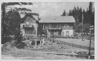 Semmering, Bärenwirt - alte historische Fotos Ansichten Bilder Aufnahmen Ansichtskarten 