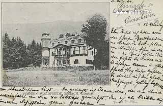 Pension Waldfriede - Oesterreich - alte historische Fotos Ansichten Bilder Aufnahmen Ansichtskarten 