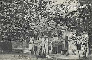 Pension Waldfriede - Steindorf am Ossiacher See - alte historische Fotos Ansichten Bilder Aufnahmen Ansichtskarten 