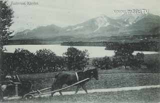 Pferdefuhrwerk in Drobollach - Oesterreich - alte historische Fotos Ansichten Bilder Aufnahmen Ansichtskarten 