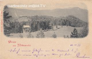 Mittewald ob Villach - Oesterreich - alte historische Fotos Ansichten Bilder Aufnahmen Ansichtskarten 