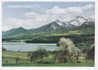 Drobollach - Kärnten - alte historische Fotos Ansichten Bilder Aufnahmen Ansichtskarten 