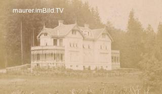Villa Dreihausen - Oesterreich - alte historische Fotos Ansichten Bilder Aufnahmen Ansichtskarten 